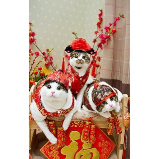 Mèo Hoàng Hậu(combo)-SHOPPIU