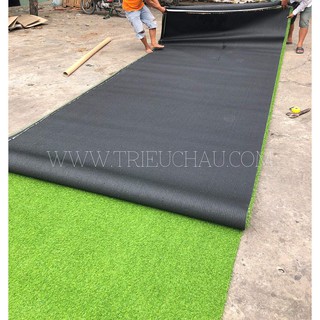 THẢM CỎ NHÂN TẠO M2
