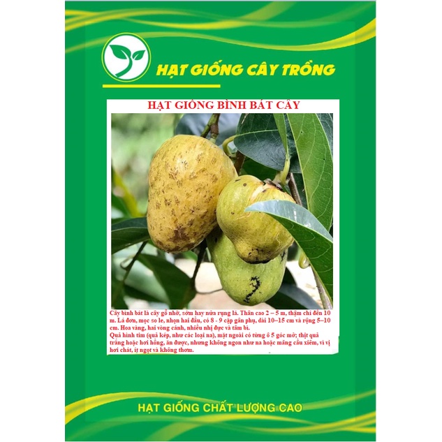 Hạt Giống Bình Bát Cây - Bình Bát Vàng KNS3718 - 1 gói 10 hạt