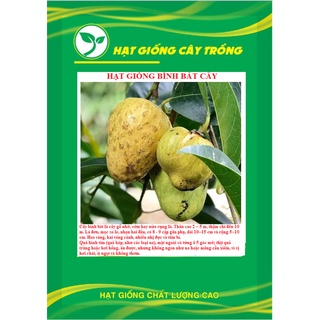 Hạt giống bình bát cây - bình bát vàng kns3718 - 1 gói 10 hạt