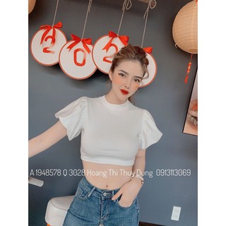 604. ÁO ZÍP CỔ TRÒN TAY BỒNG XÒE