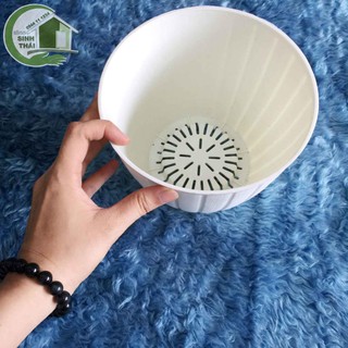 Chậu nhựa trồng cây giả gỗ