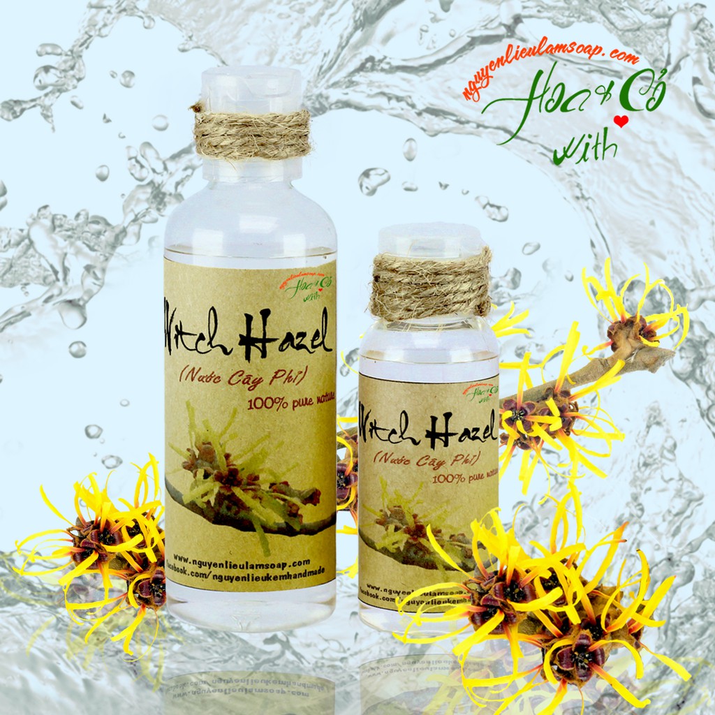 Nước cân bằng da cây phỉ ( Witch Hazel )