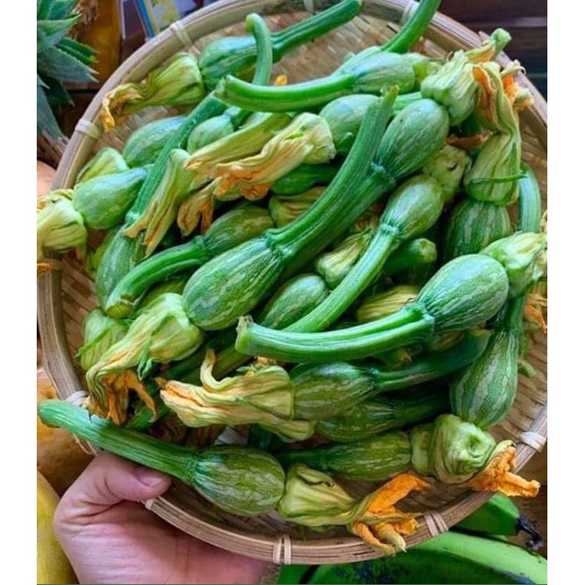 Hạt giống bí siêu nụ CT13 - Gói 10gr
