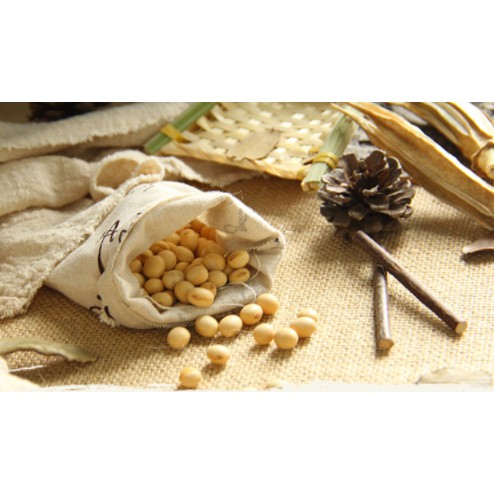 S2 - SET CHỤP ẢNH SẢN PHẨM CỦI KHÔ