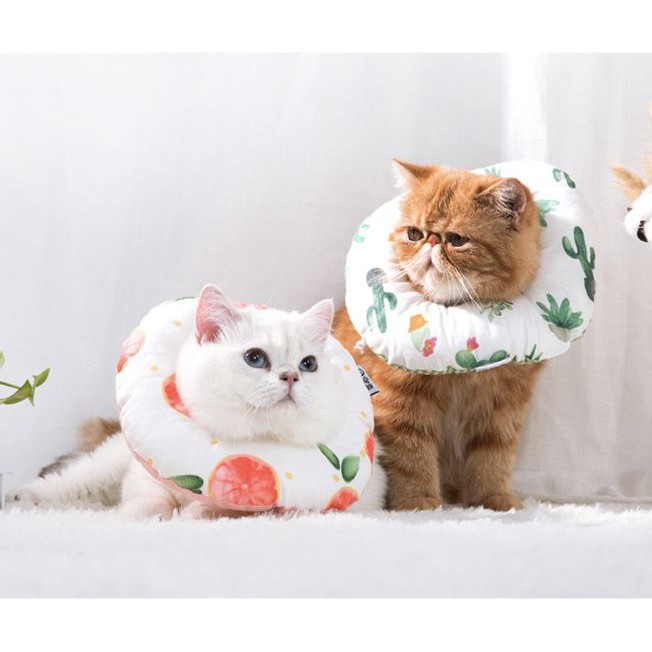 Gối chống liếm cho chó mèo SIZE LỚN. Loa chống liếm cho thú cưng BIG SIZE