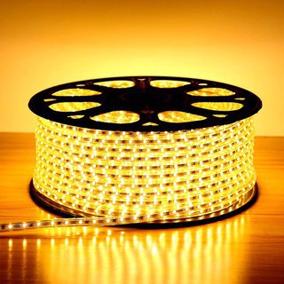 CUỘN LED ĐÔI 2835 -100M- KÈM NGUỒN