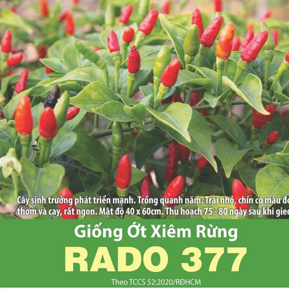 Hạt Giống Ớt Xiêm Rừng Rado 377 (Gói 0,2g) Trái Nhỏ, Chín Có Màu Đỏ, Thơm Cay