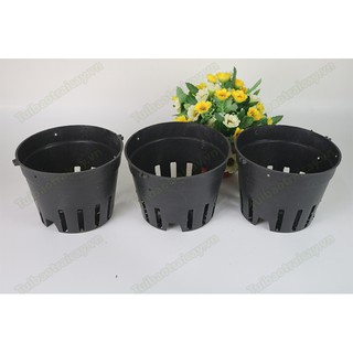 Combo 10 chậu trồng lan đen fi 16