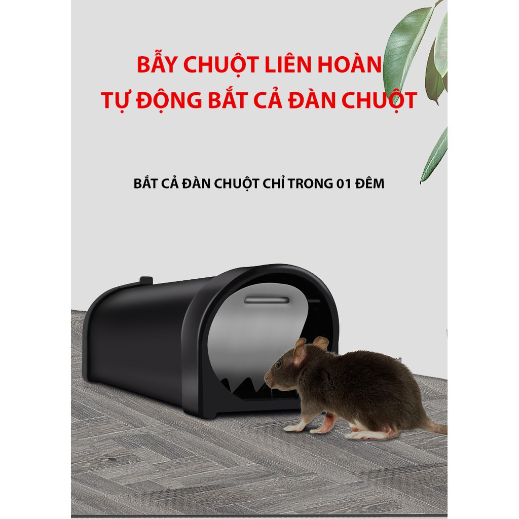 Bẫy Chuột Thông Minh Không Dùng Lò Xo An Toàn Tuyệt Đối