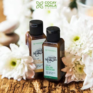 Dầu gội gừng Cỏ cây hoa lá