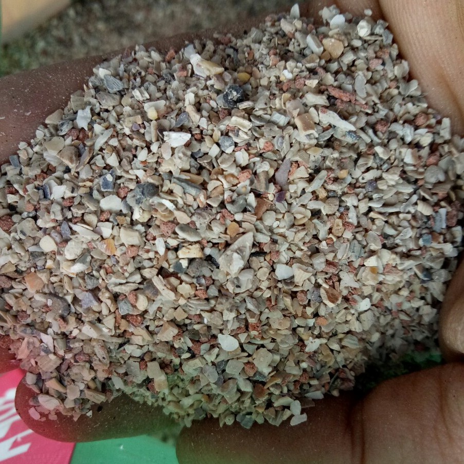 500G KHOÁNG GRIF  CHO VẸT,YẾN PHỤNG, FINCH, BẢY MÀU,YẾN HÓT, BỒ CÂU,C.U GÁY