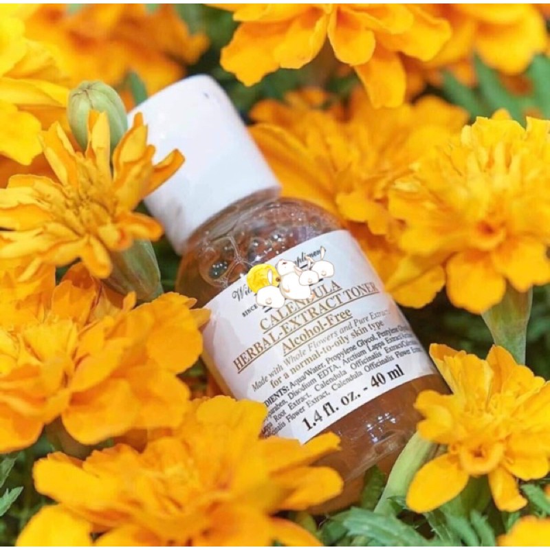 Set dưỡng Hoa cúc Kiehl's Calendula