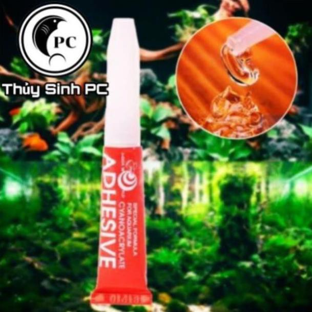 Keo dán cây thủy sinh , keo thủy sinh - phụ kiện cá tép cảnh thủy sinh giá tốt