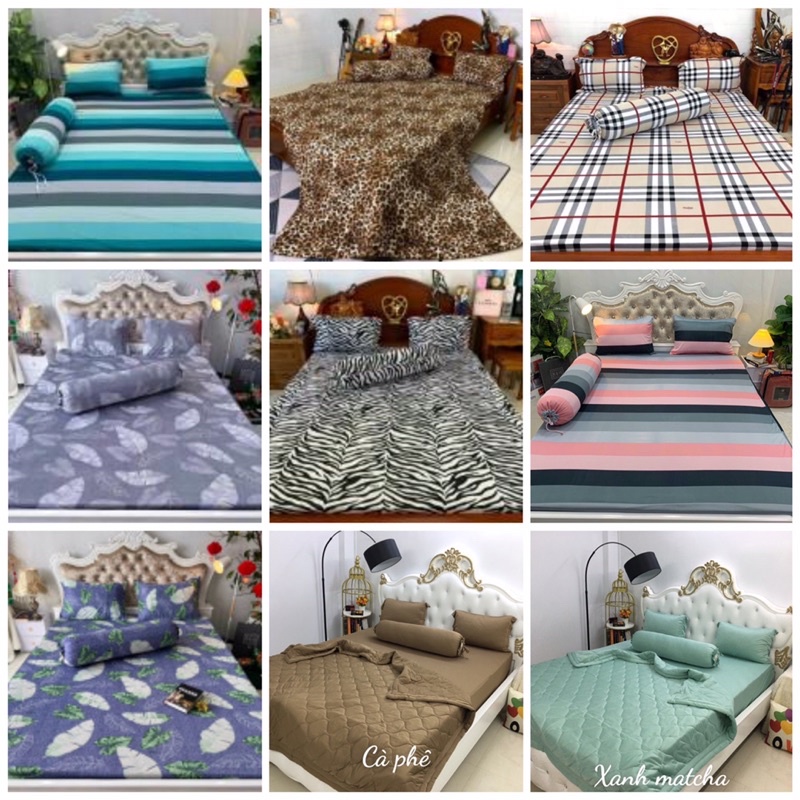 Bộ drap thun hàn quốc 4 món