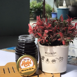 Mật ong anh túc 100ml [ tự nhiên ]