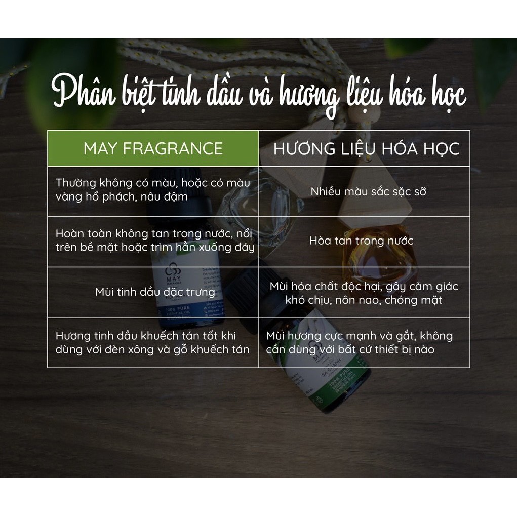 Tinh dầu thiên nhiên Tía Tô Đất Melissa