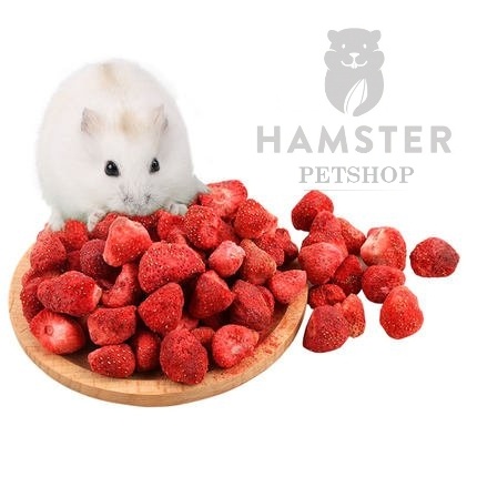 Dâu sấy dẻo cho Hamster, sóc , nhím, thỏ , bọ 25g