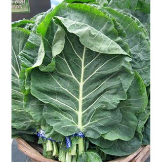 Hạt giống rau cải rổ - (  rau cải Làn  )  - 1 gói 5gram - STHG2