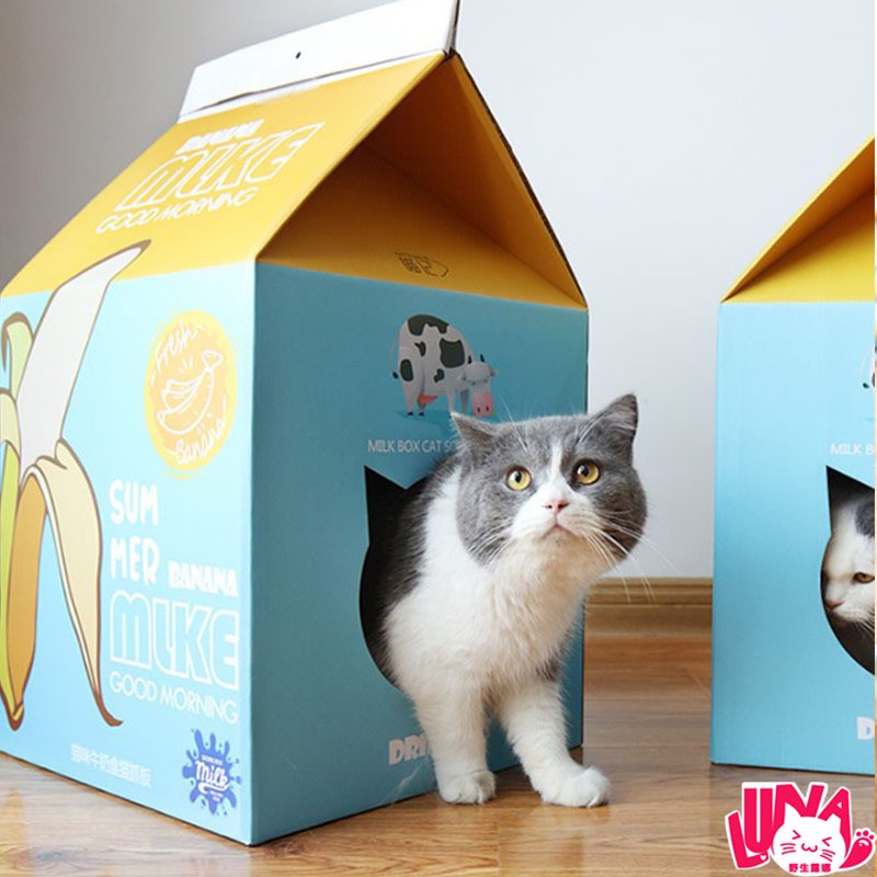 Hộp Box Cào Móng Cho Mèo - Kèm Bàn Giấy Cào Móng (Tặng Catnip)