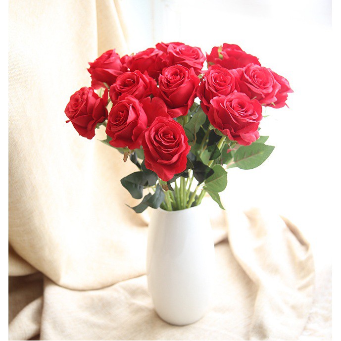 Combo 10 bông hoa hồng nhung đẹp xuất sắc