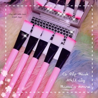 CỌ ĐẮP MẶT NẠ