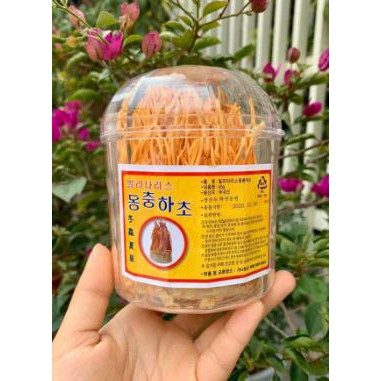 1 hộp 45G Hoa Đông Trùng Hạ Thảo Hàn Quốc Dạng Khô cao cấp