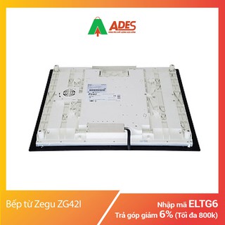 Bếp Từ Zegu ZG-42I