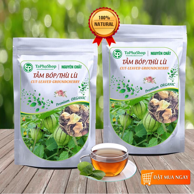 Cây tầm bóp  sấy khô - Thảo dược Tấn Phát
