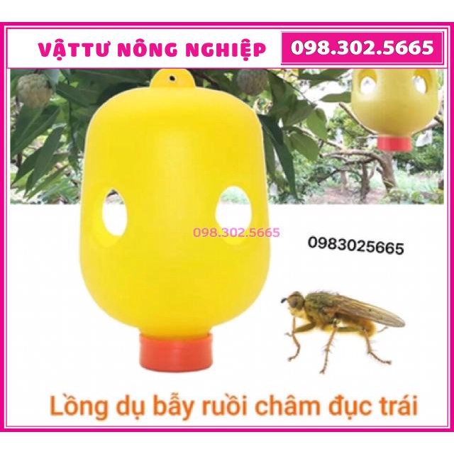 Combo lọ thuốc và 4 lồng bẫy ruồi vàng