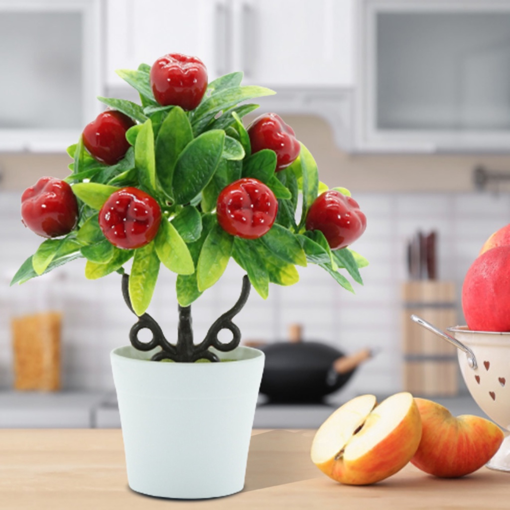 Chậu cây bonsai giả trang trí phòng khách tiện lợi