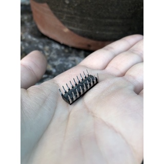 ic AN7223 ,