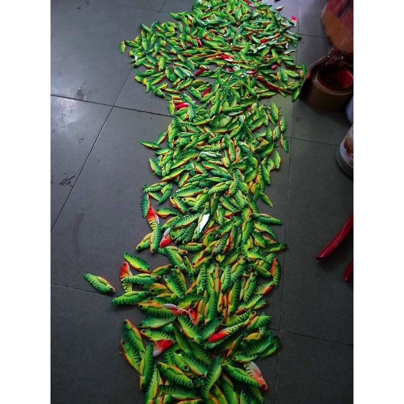 cá sắt cicada fhishen