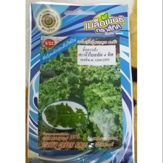 Cải kale, dưa chuột chùm, cà chua bi vàng