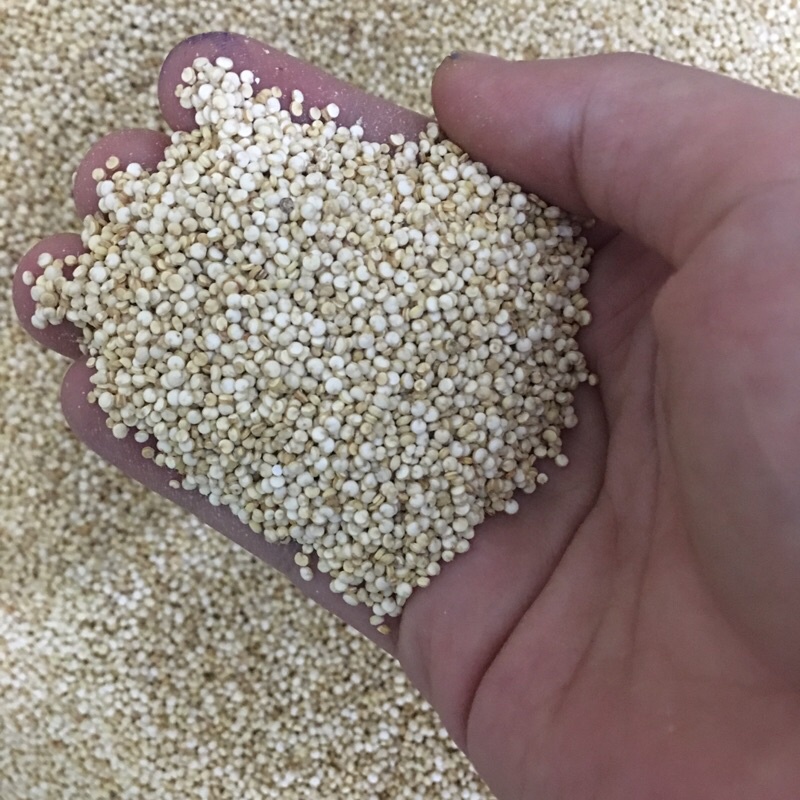 Hạt Diêm Mạch Quinoa Organic Nhập Khẩu Mỹ Loại Trắng Hữu Cơ Giá Tốt Túi 200g - 500g
