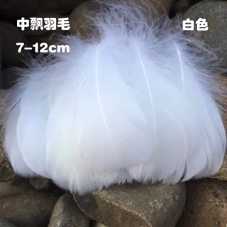 Lông vũ đủ màu kt 7-12cm