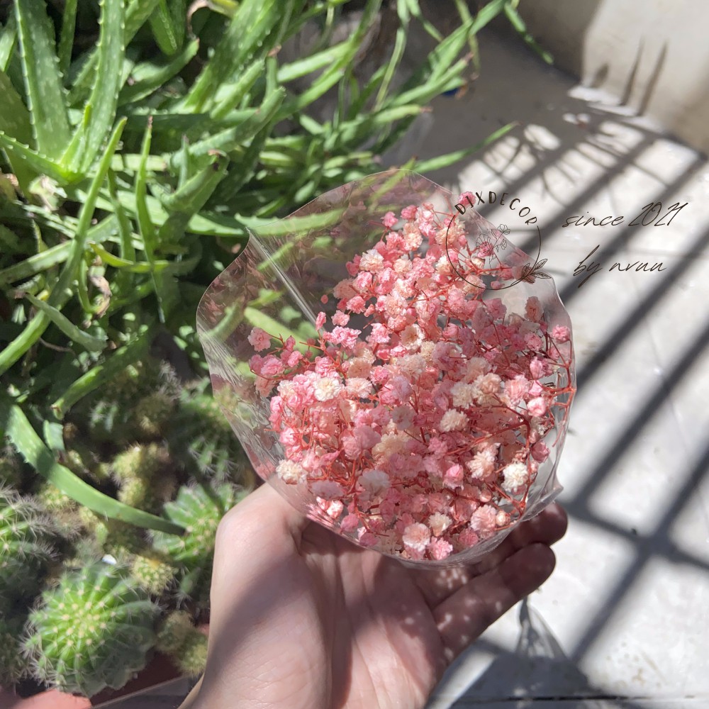 Hoa Baby Khô Trang Trí - Gypsophila