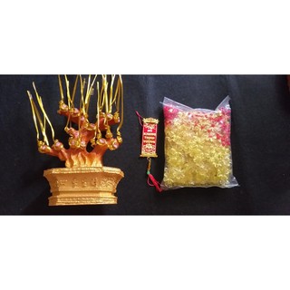 Combo bộ gốc kim tiền 25 nhánh tặng thỏi và dây trang trí