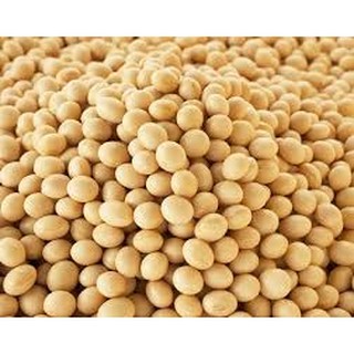 Đỗ tương - đậu tương ngon