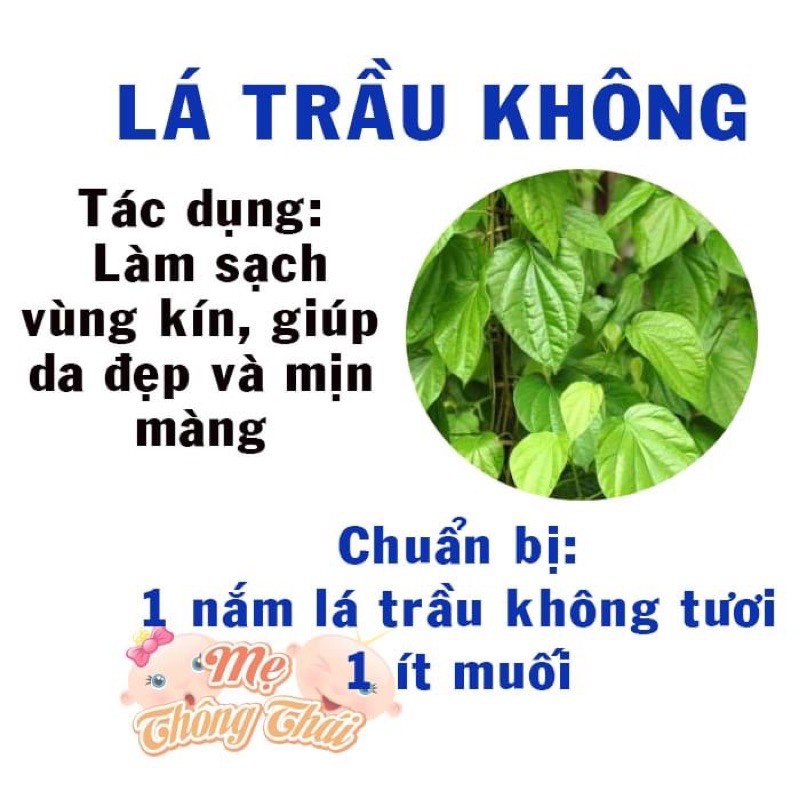 LÁ TRẦU KHÔNG TƯƠI (100g) mua nhiều kèm quà tặng có bán sỉ