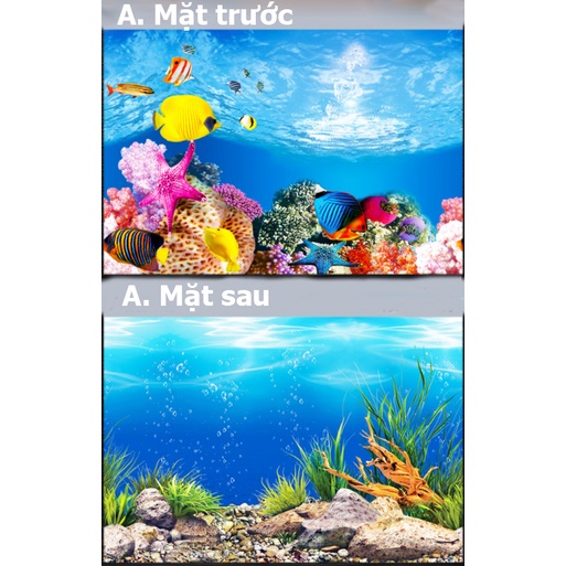 Tranh 3d dán bể cá Aquablue hình ảnh 2 mặt siêu đẹp có sẵn keo dính đủ mọi kích thước (size lớn)