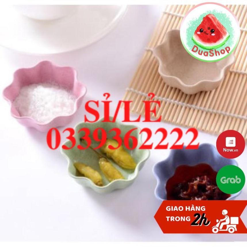 [ HAIANHSHOP ] Đĩa đựng gia vị nhiều mẫu - Đĩa Đựng Gia Vị Lúa Mạch Hình Chiếc Lá, Có Nhiều Màu   Duashop &gt;