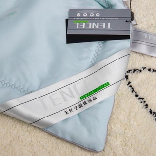 [ LOẠI CAO CẤP] Chiếu Tencel cao su non