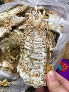 MĂNG LÁ MẦM - YÊN BÁI