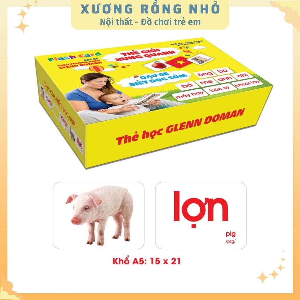 Thẻ học thông minh cho bé loại to song ngữ, thẻ học GLENN DOMAN chuẩn về thế giới xung quanh cho bé