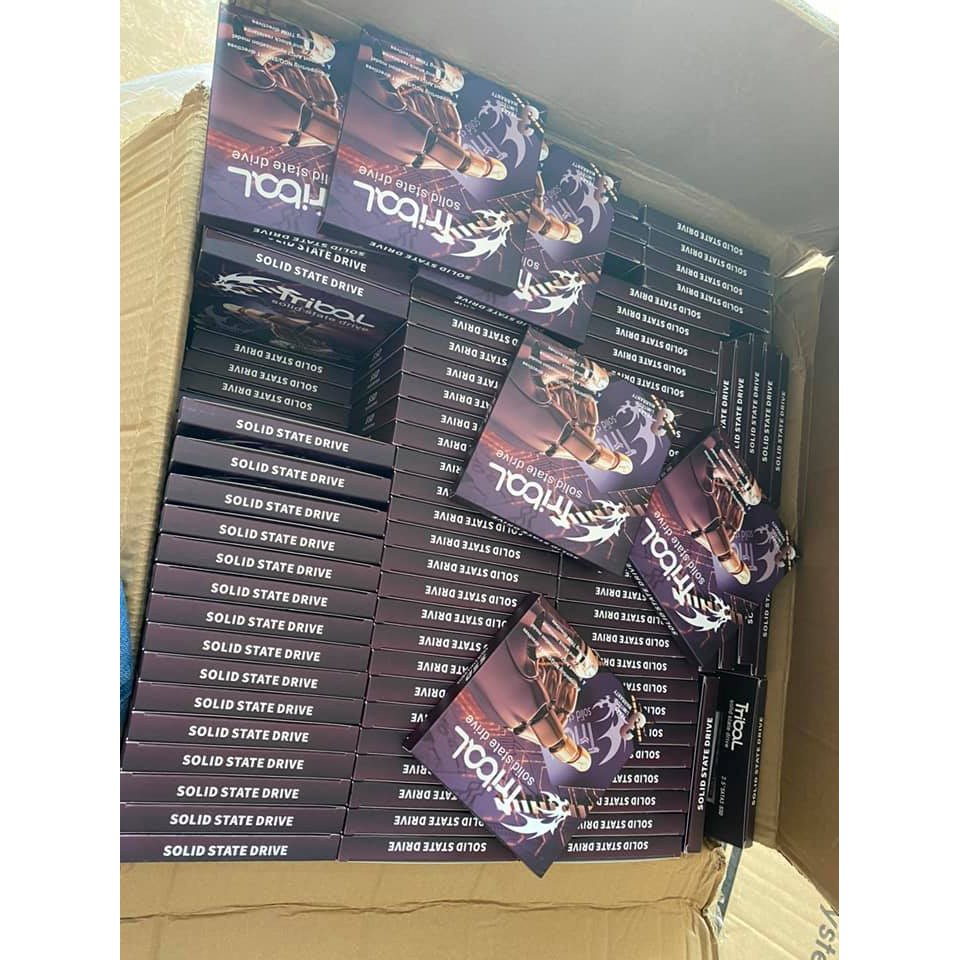 Ổ cứng SSD Kingston Xstar Western Gloway 120GB 240GB bảo hành 3 năm