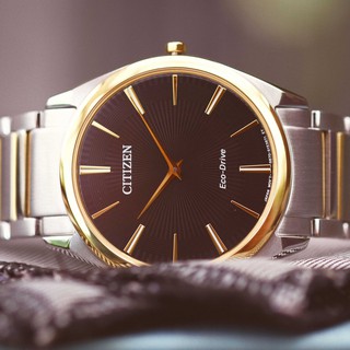 Đồng Hồ Nam Citizen AR3078-88E