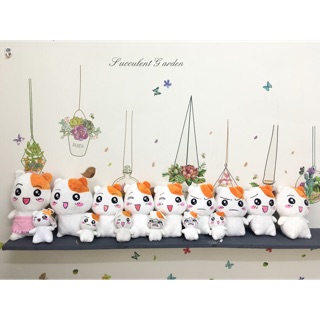 Set gấu bông ebichu