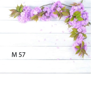 Thảm vải 3D chụp ảnh