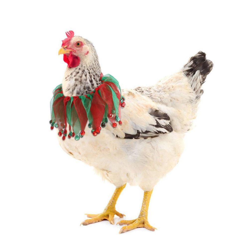 Vòng Cổ Màu Sắc Hình Gà Vui Nhộn Cho Thú Cưng LAYOR1